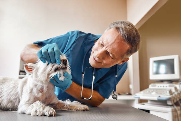 Best Emergency Dental Care for Trauma or Injury in Graceville, FL